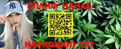 индика Усть-Джегута