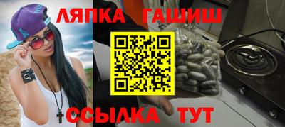 индика Усть-Джегута